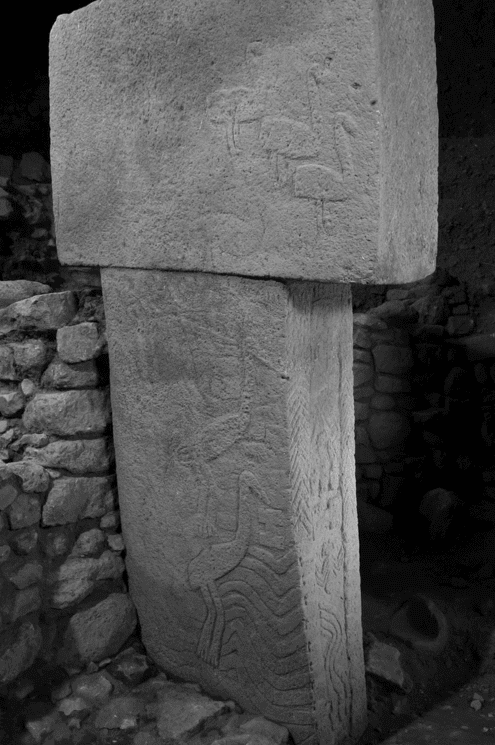 Рис. 42 «Квантовая птица» на левой стороне ортостата №33 в храме D. Гебекли Тепе