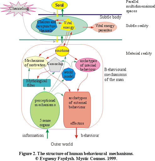 Figure 2. The structure of human behavioral mechanisms.