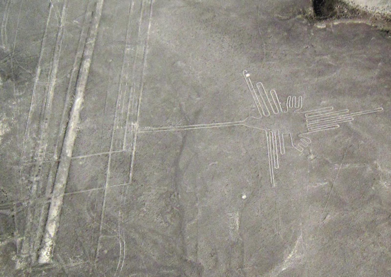 Геоглиф колибри, соединённый со сложным фрактальным орнаментом линий и трапецоидов